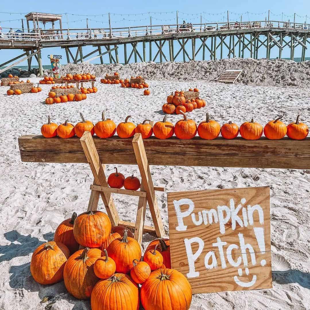 Carolina Beach, NC — News, Restaurants, Live Cams & Things to Do | The ...